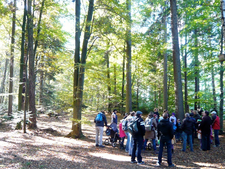 Schöpfungswanderung um den Hartsee 2013