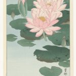 Ohara Koson: Blühende Seerose. 1920–1930, Farbholzschnitt. Rijksmuseum Amsterdam, URL: https://id.rijksmuseum.nl/200413515 (CC0 1.0 Universal)