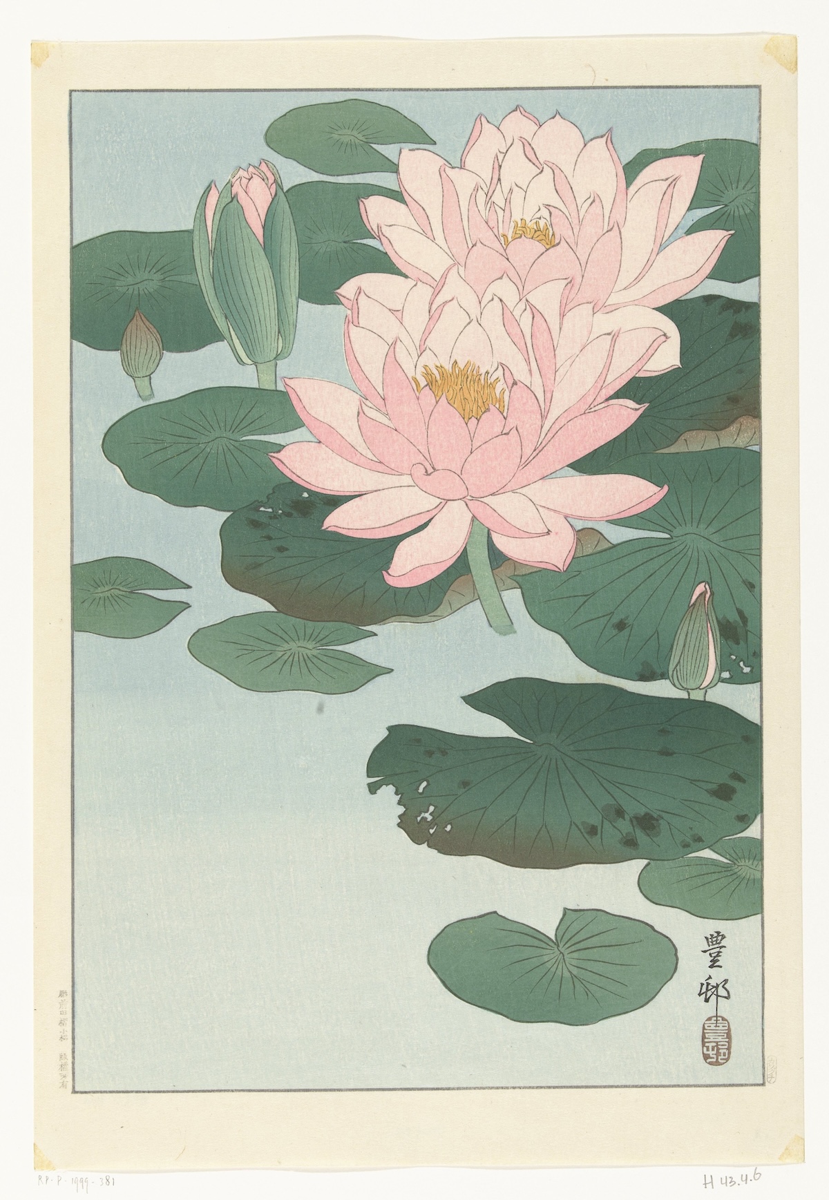 Ohara Koson: Blühende Seerose. 1920–1930, Farbholzschnitt. Rijksmuseum Amsterdam, URL: https://id.rijksmuseum.nl/200413515 (CC0 1.0 Universal)