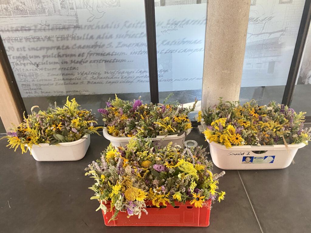 Foto, innen: Vor einer Glaswand mit einer Säule stehen auf glattem Boden vier Wannen bzw. Kisten mit gelbbunten Kräuterbuschn.