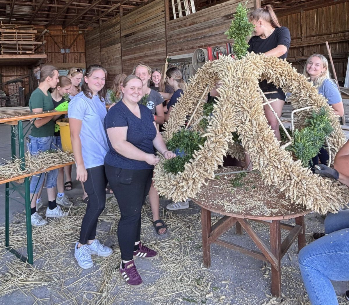 Foto: In einem hölzernen Stadl oder dergleichen sind junge Frauen dabei, eine Erntekrone aus Getreide zu binden: drei große, miteinander verbundene aufgestellte Ringe aus Ähren.